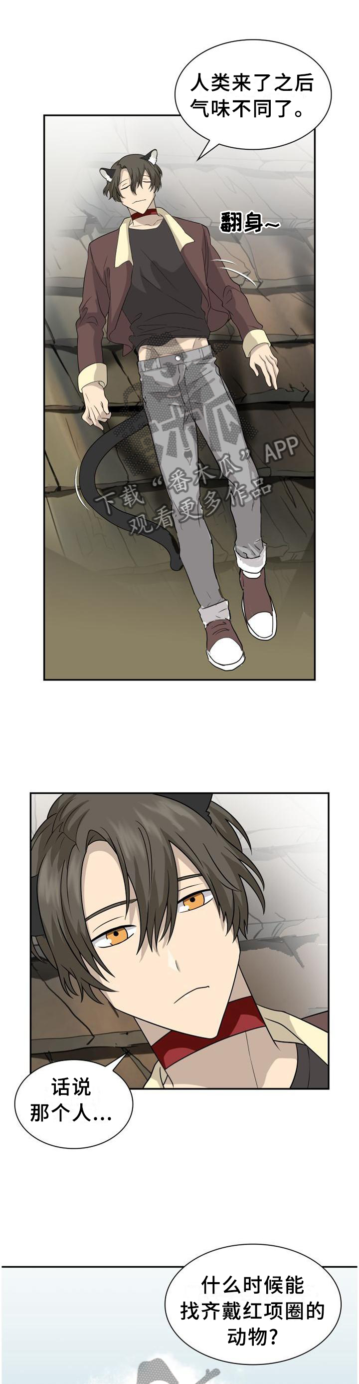 旷野之息箭漫画,第119章：【第二季】猎物1图