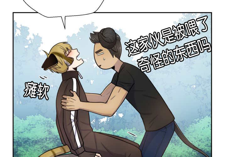 旷野之息箭漫画,第84章：不许躲我2图