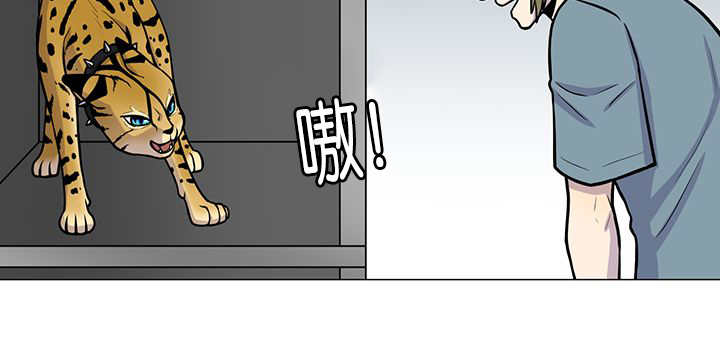 旷野之息箭漫画,第1章：好好表现2图