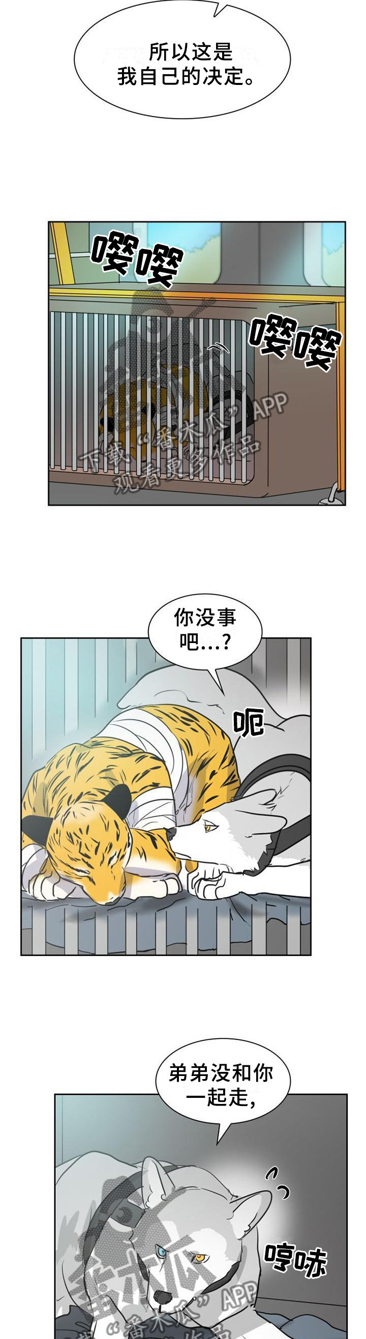 旷野之息箭漫画,第138章：【第二季】什么样的选择都好1图