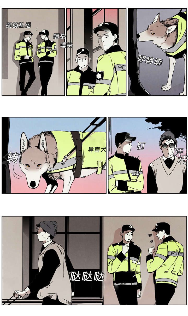 入夜渐微凉繁花落地成霜完整版漫画,第40章：不听话2图