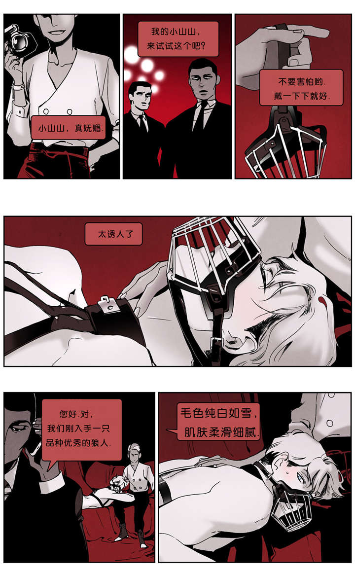 入夜微凉文章漫画,第35章：大老板1图