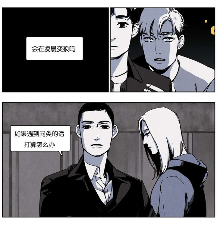 入夜对她上瘾免费完整版漫画,第16章：正面交锋2图