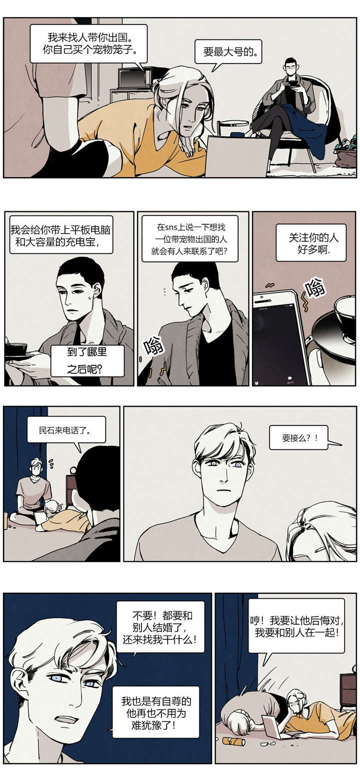 入夜渐微凉繁花落地成霜完整版漫画,第27章：赌气1图