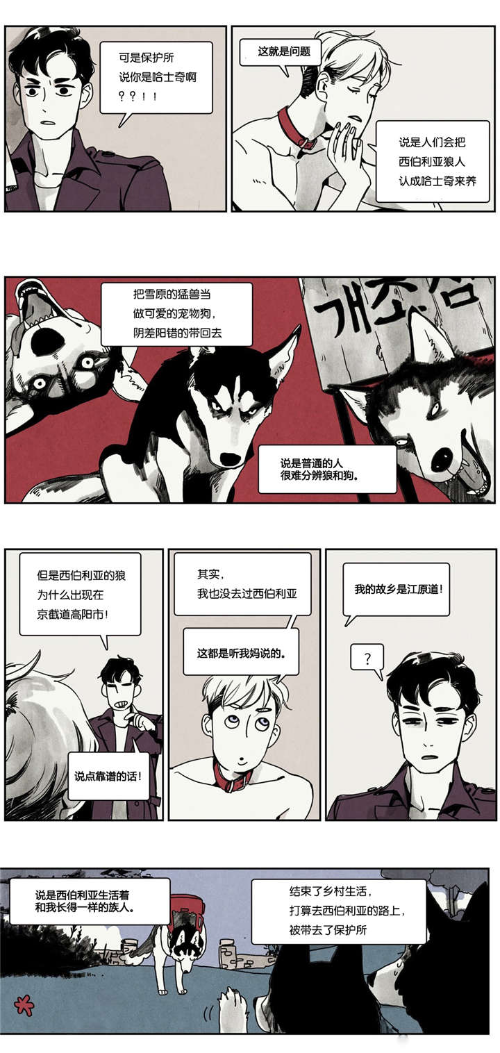 入夜为情所困漫画,第2章：狼人出现1图