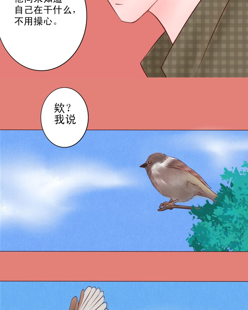 浮生一梦短剧免费观看国语版漫画,第27章：即使不喜欢，也轮不到你去说1图