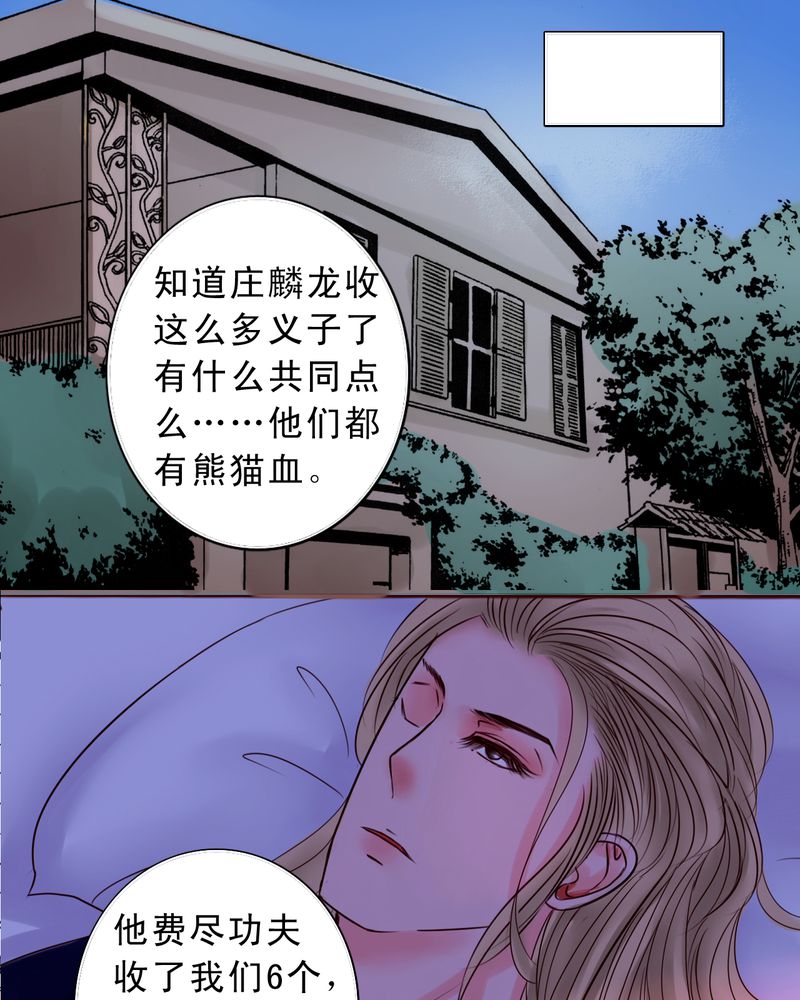 浮生落梦的意思漫画,第49章：命运交响曲2图