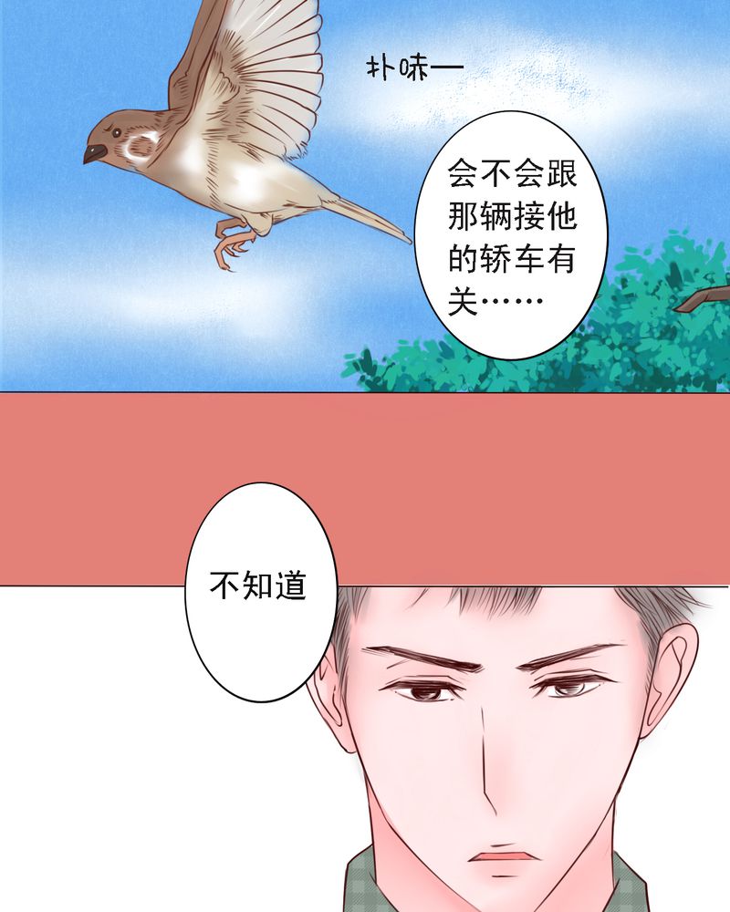 浮生一梦短剧免费观看国语版漫画,第27章：即使不喜欢，也轮不到你去说2图