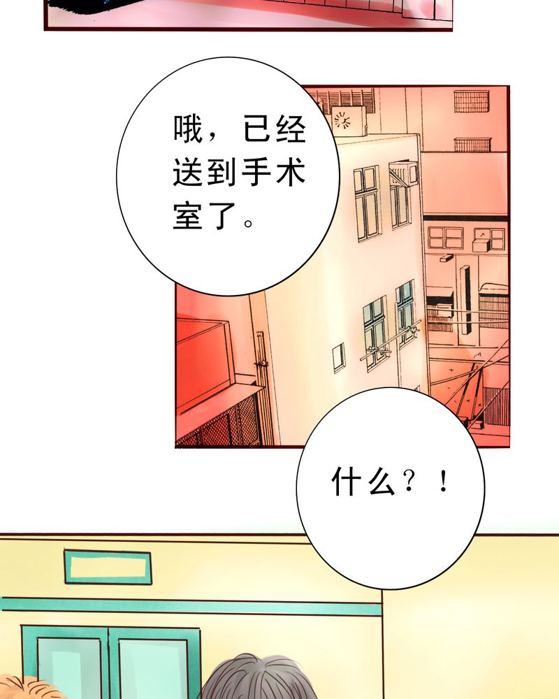 浮生辞漫画,第39章：番外：一见钟情2图
