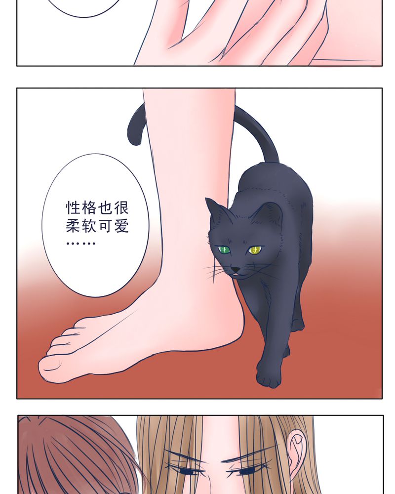 马天宇水仙浮生逸梦漫画,第25章：FAVORITE1图