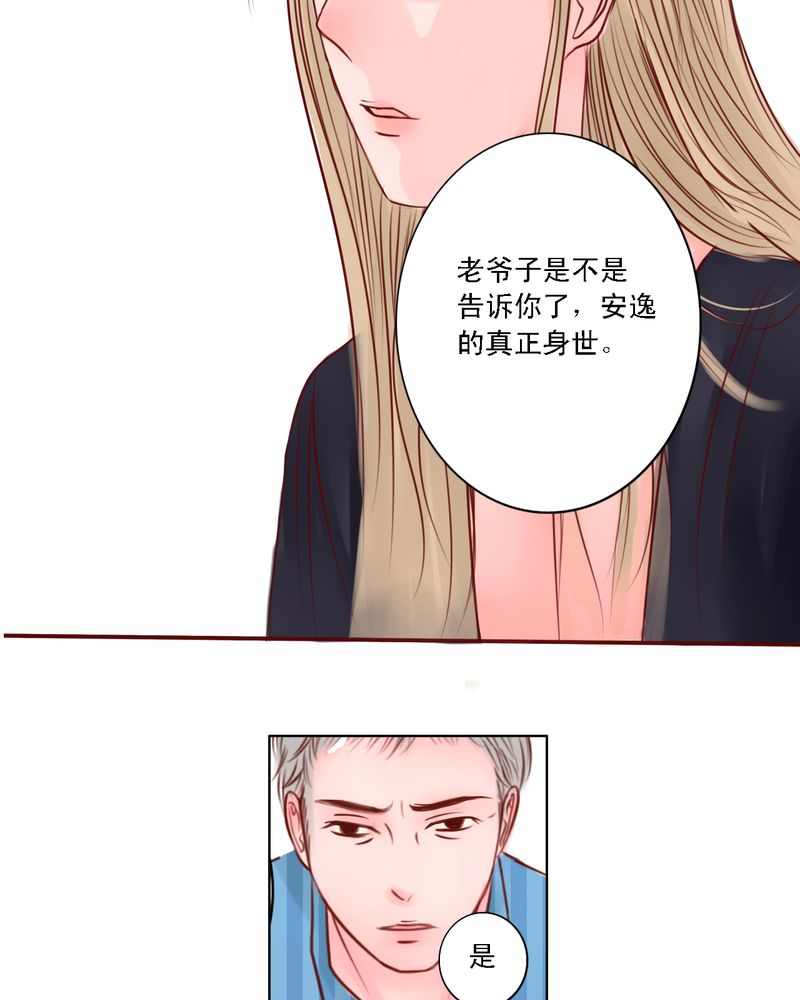浮生逸梦漫画有小说吗漫画,第29章：你所不知道的1图