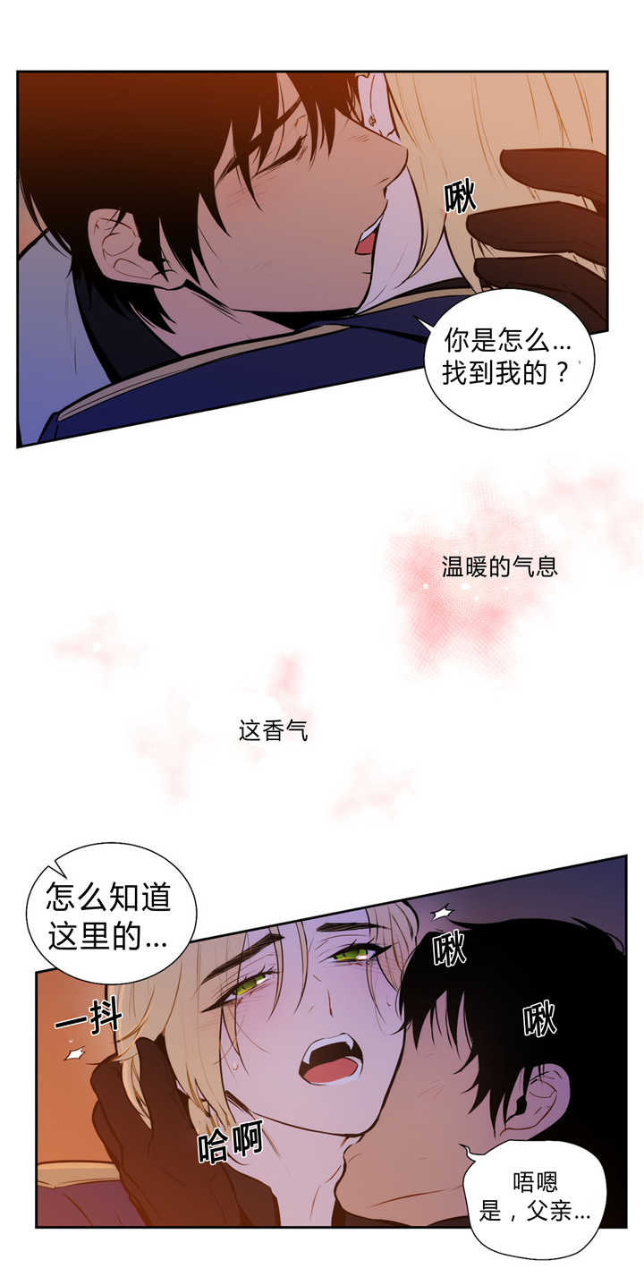 圣杯神器漫画,第83章：追逐香气2图