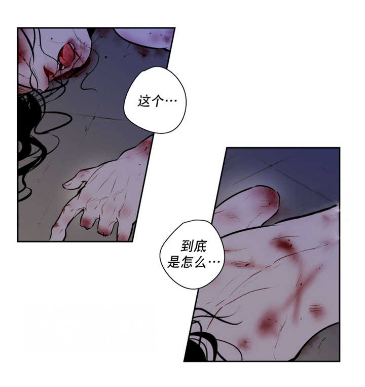 圣杯2漫画,第65章：奇怪脚印1图