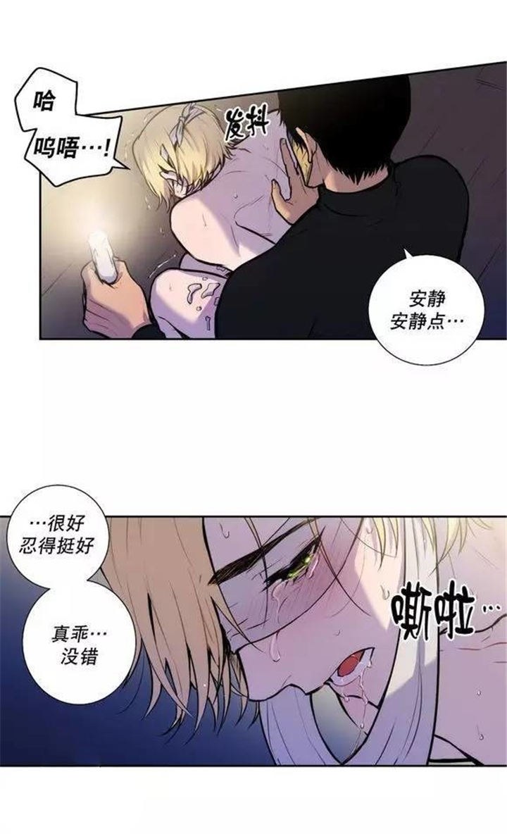 圣杯2漫画,第28章：你希望我怎么做1图