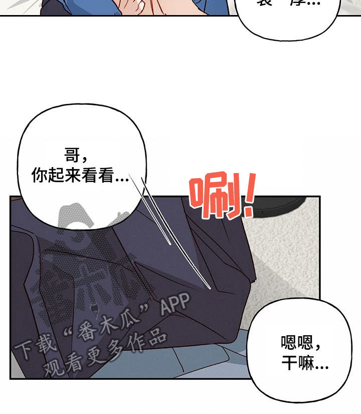 兜帽陷阱漫画在线观看漫画,第79话2图