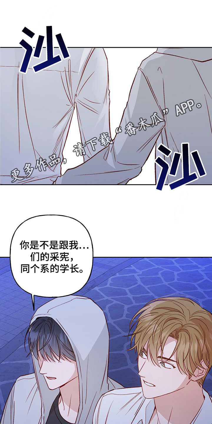 兜帽陷阱漫画在线观看漫画,第36话1图