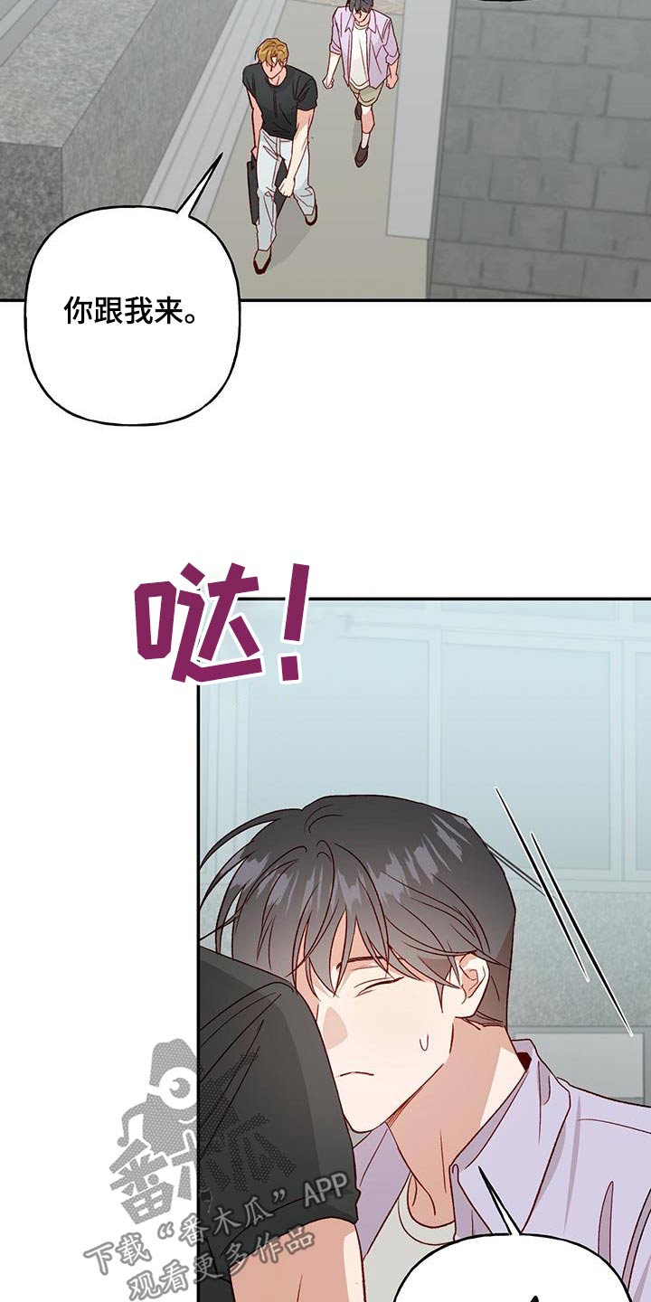 兜帽陷阱有小说吗?漫画,第83话2图