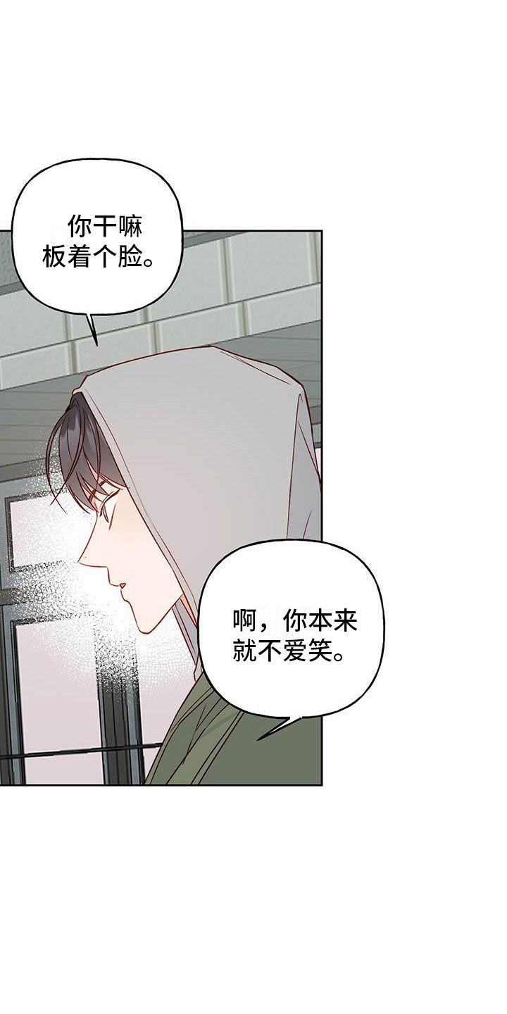 兜帽陷阱的结局漫画,第21话1图