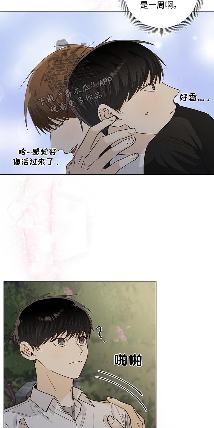 耀眼的光环解释漫画,第93话2图