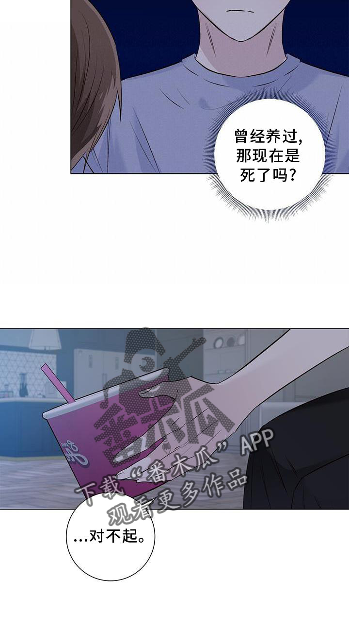 耀眼的光环解释漫画,第67话2图