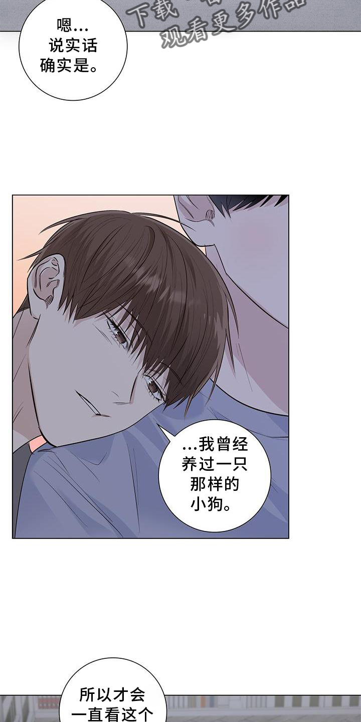 耀眼的光环解释漫画,第67话2图