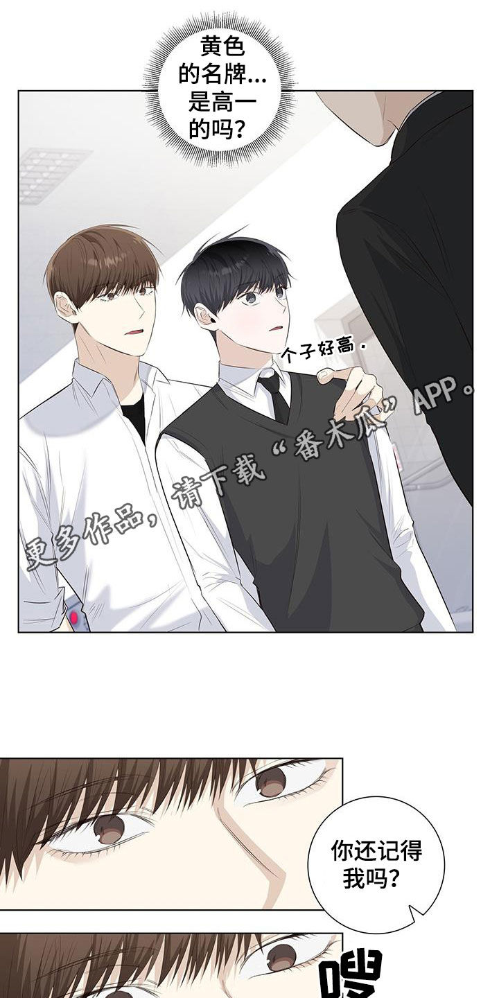 耀眼的光环解释漫画,第69话1图