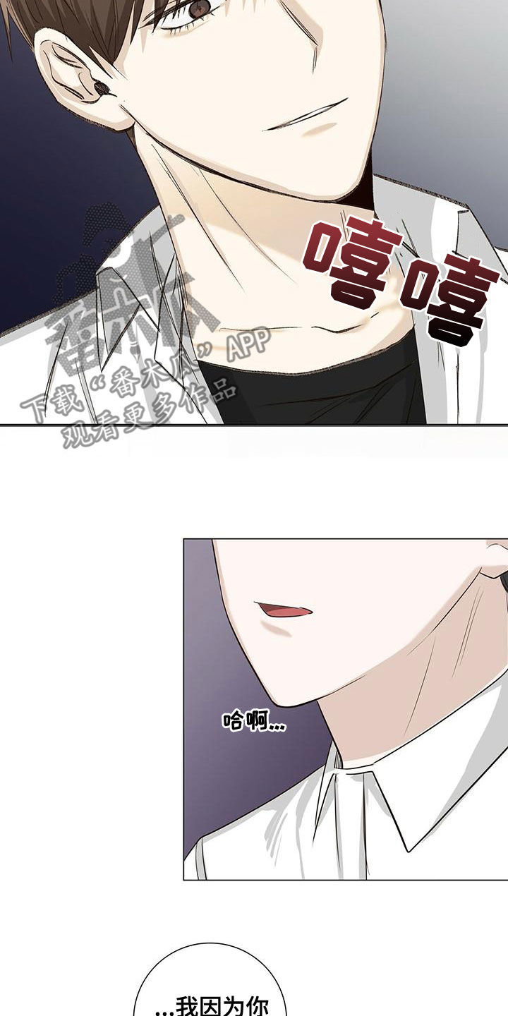 耀眼的光环解释漫画,第45话1图