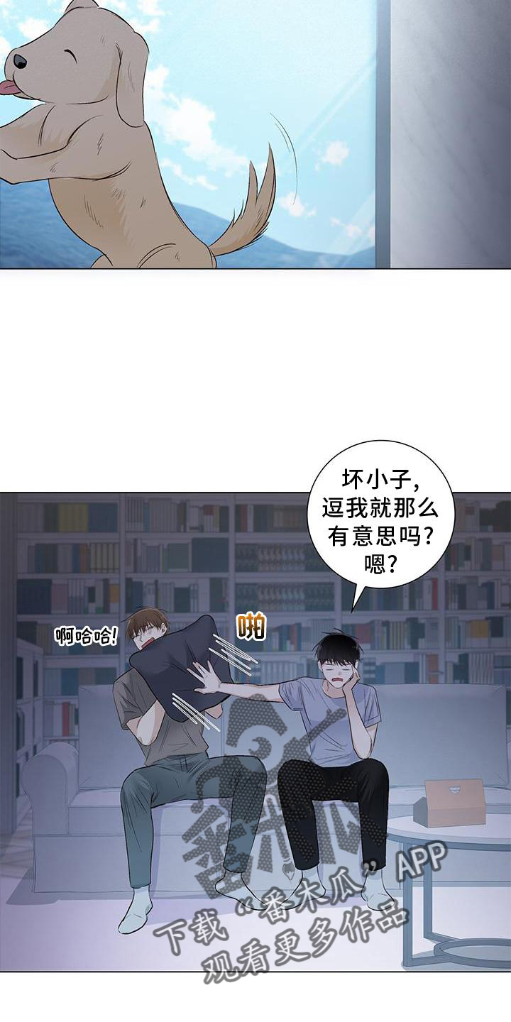 耀眼的光环解释漫画,第67话2图