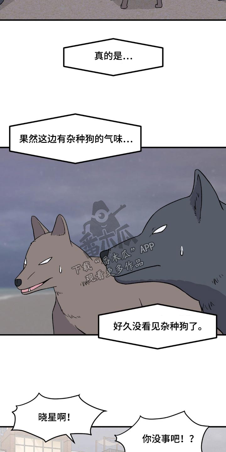 极致反差小说阅读漫画,第173话2图