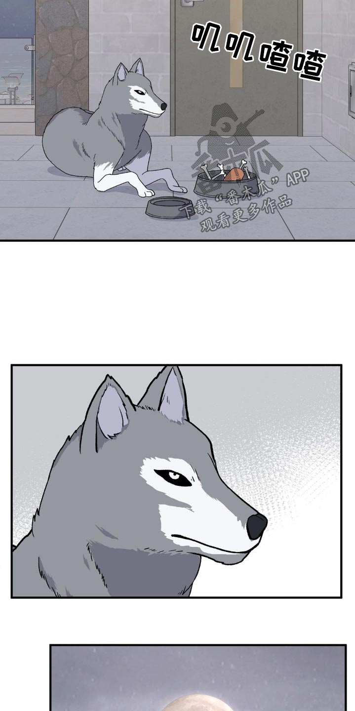 极致反差小说阅读漫画,第175话1图
