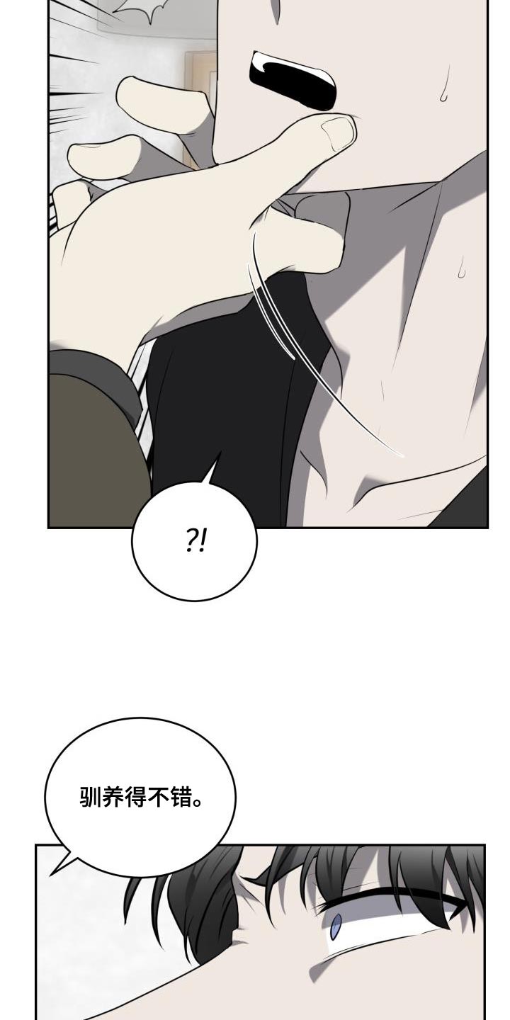 囚徒驯养漫画,第60话2图