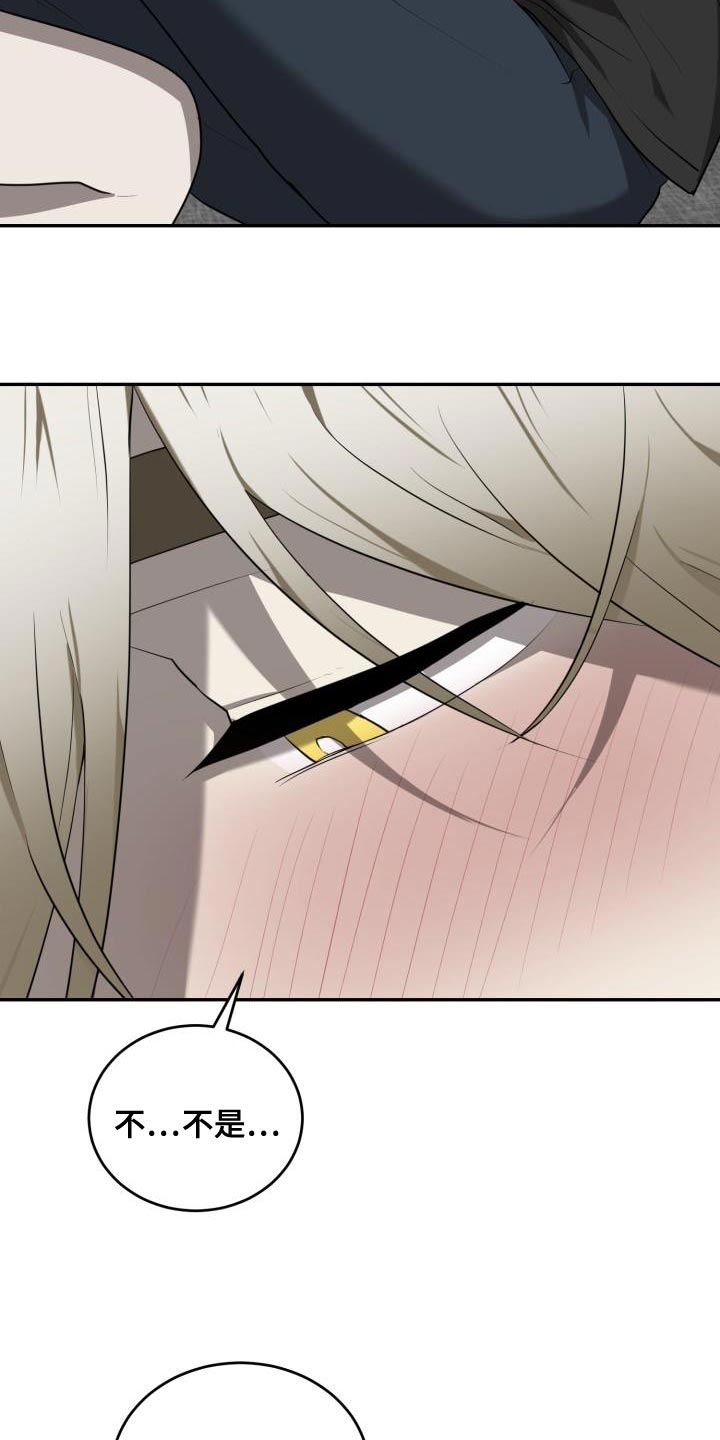 囚徒驯养漫画,第67话1图