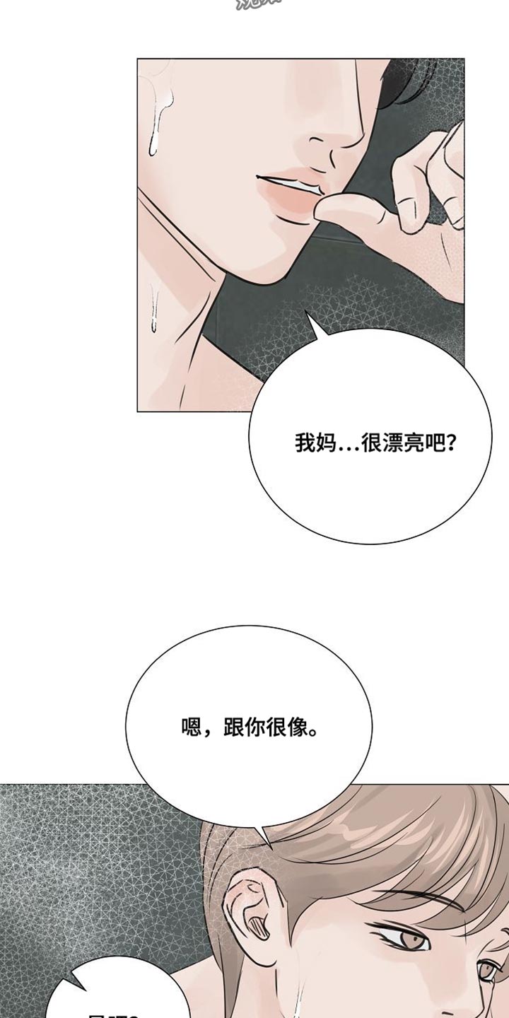 别再离开我苏格兰折耳猫漫画,第81话2图