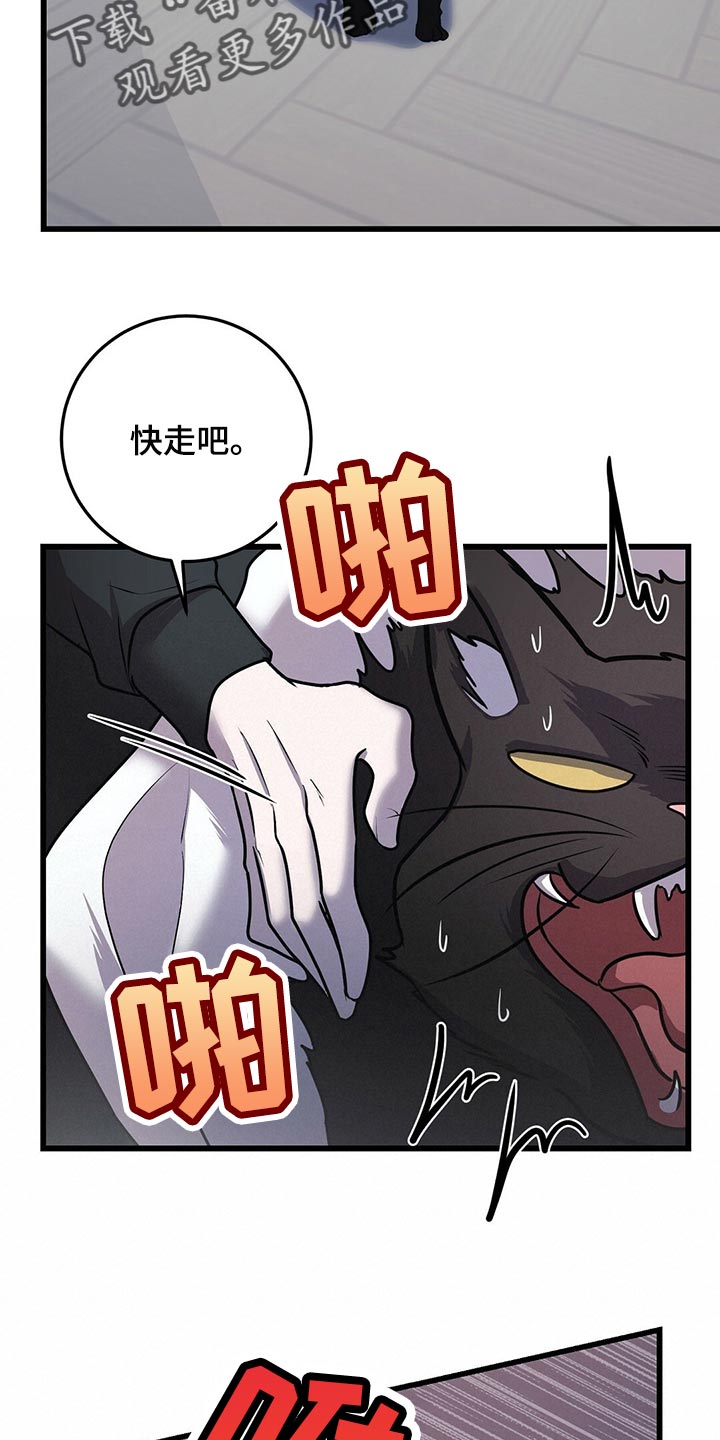 黑洞怪物小说的观看链接漫画,第29话1图