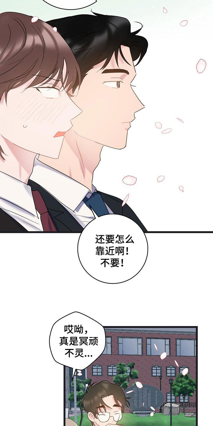 爱怜是什么意思解释漫画,第114话1图