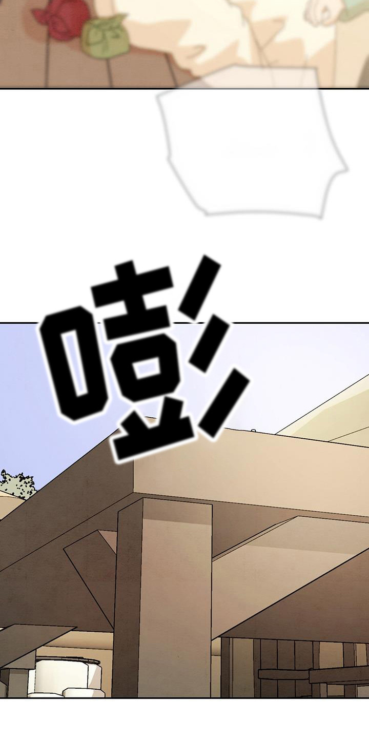 染成栗棕色的头发还能染黑茶色吗漫画,第5话2图