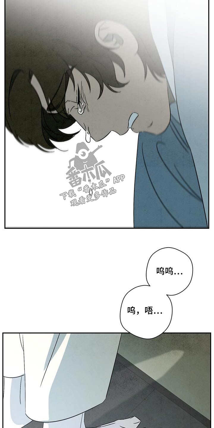 染成栗棕色的头发还能染黑茶色吗漫画,第67话2图