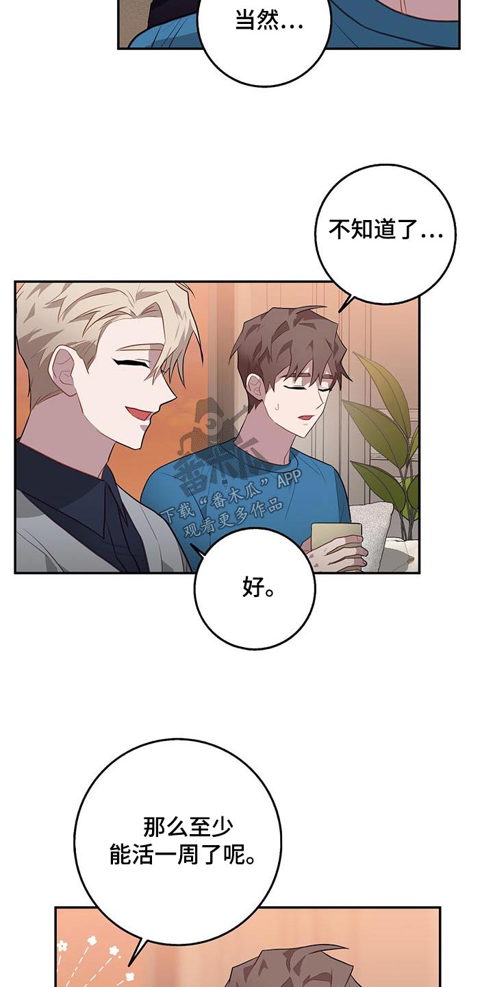 恶棍天使在线观看免费漫画,第87话1图