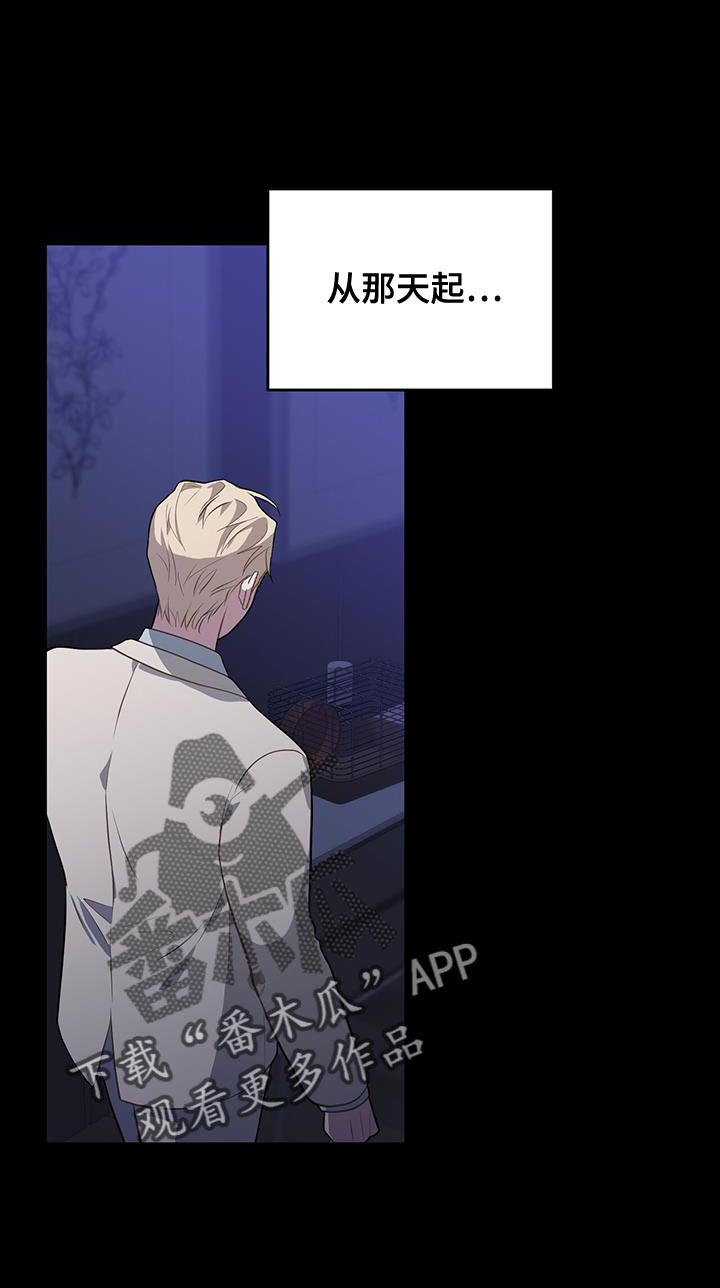恶棍天使在线观看免费漫画,第114话1图