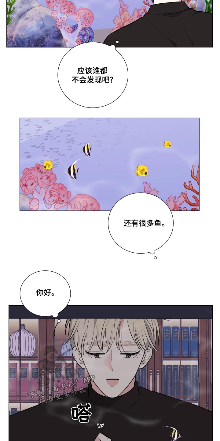 怎样发现类之间的继承关系漫画,第78话2图