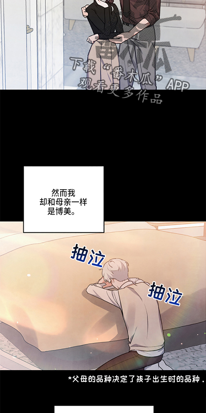 危险接近漫画,第39话2图