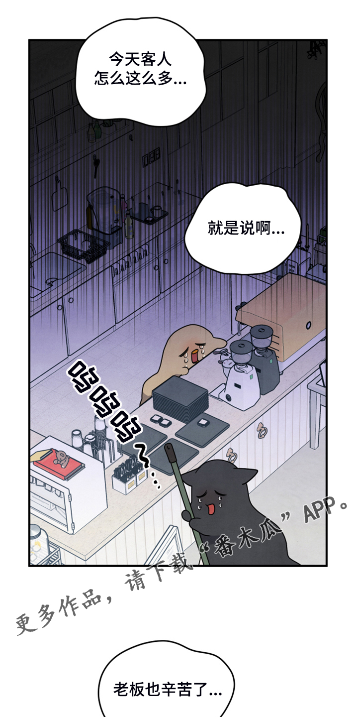 危险接近小说漫画,第19话1图