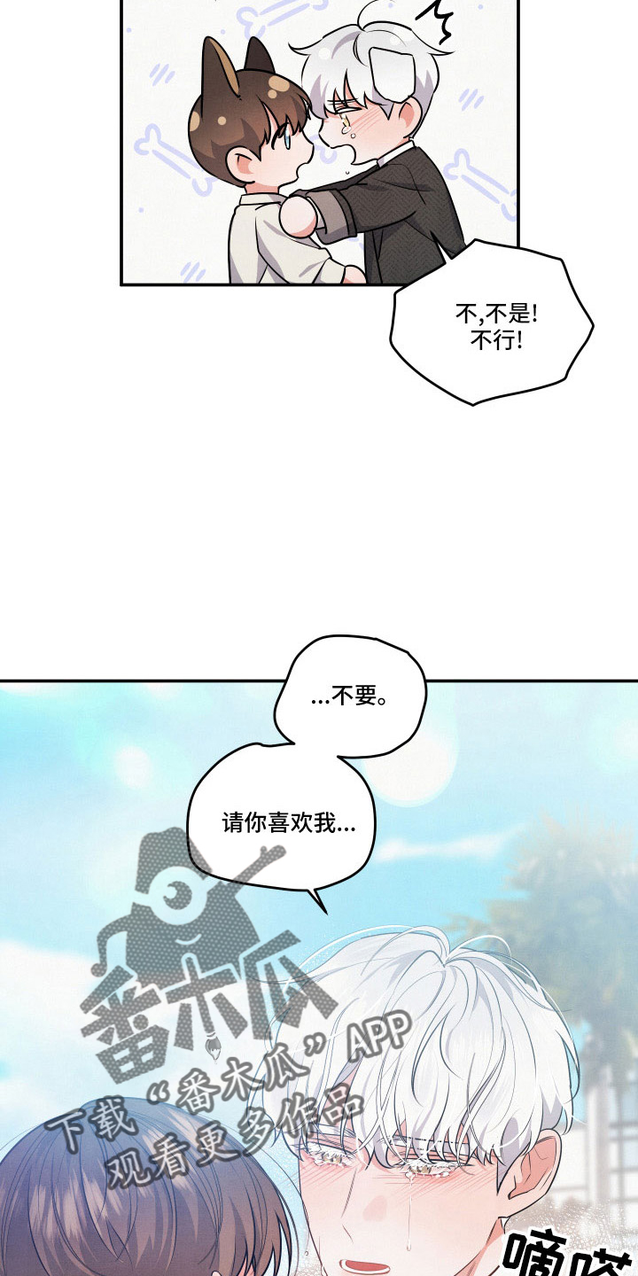 危险接近漫画免费看漫画,第54话1图