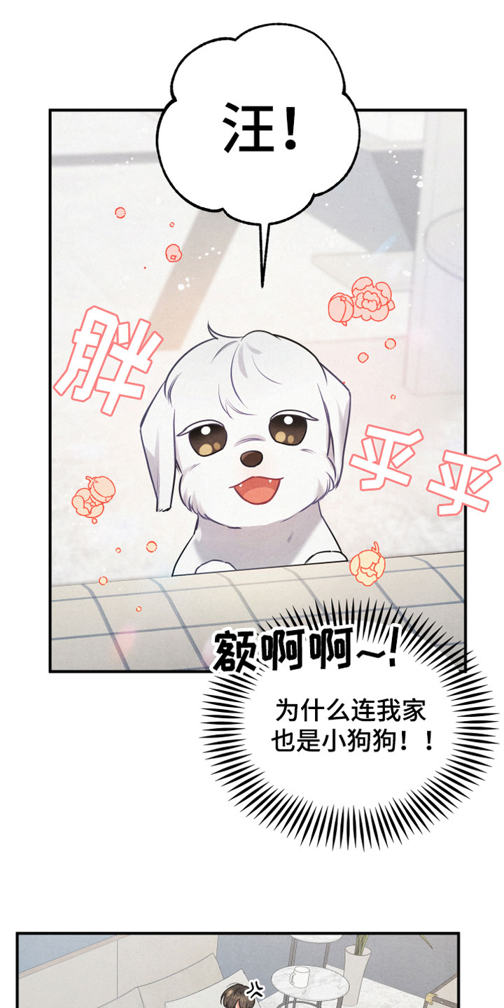 危险接受漫画,第1话2图