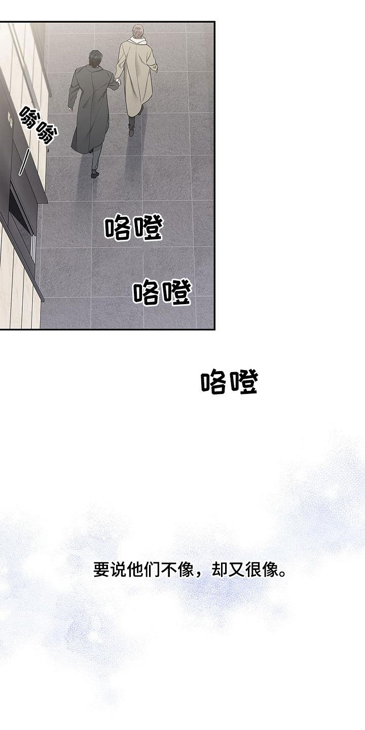 阴魂不散的近义词和反义词漫画,第51章：像又不像1图