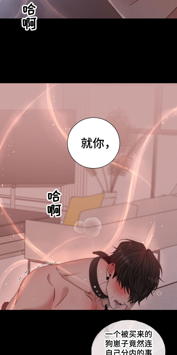 唯你独闻漫画免费观看漫画,第1话1图