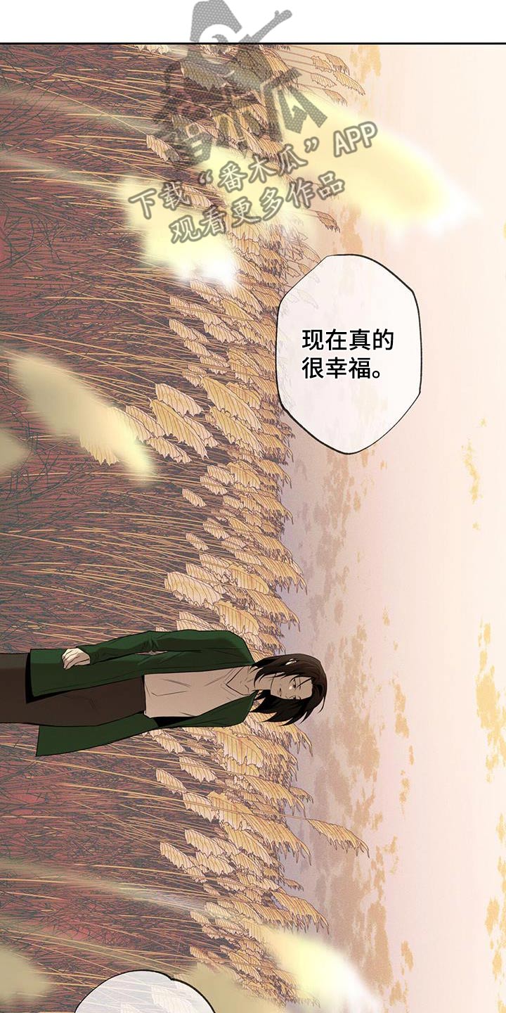 送上门的爱漫画,第97章：【第二季】终于在一起1图