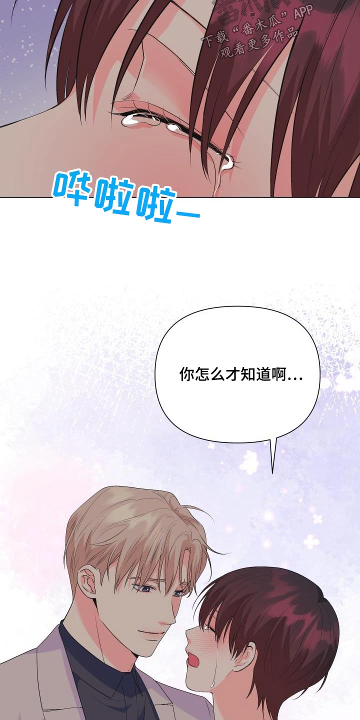 掌中玫瑰免费阅读漫画,第130章：【第二季】哪个国家2图