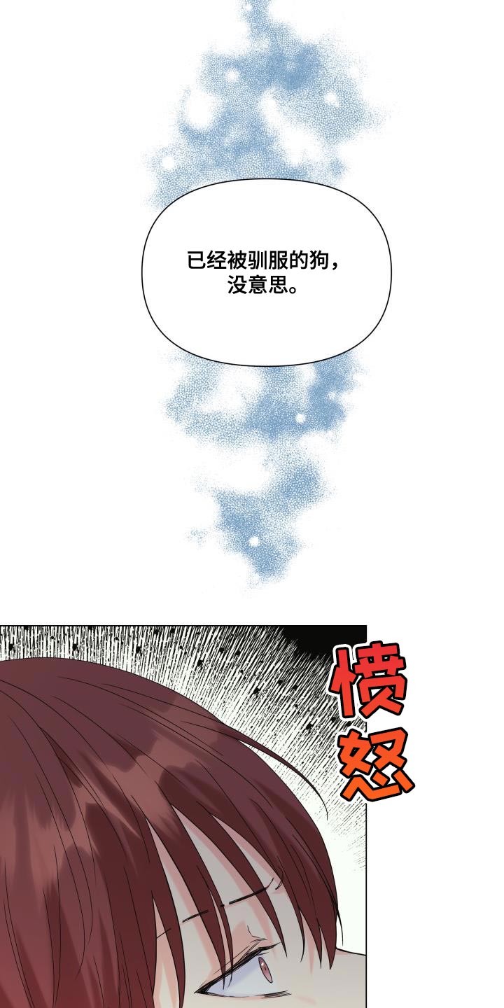 掌中娇全文漫画,第102话2图