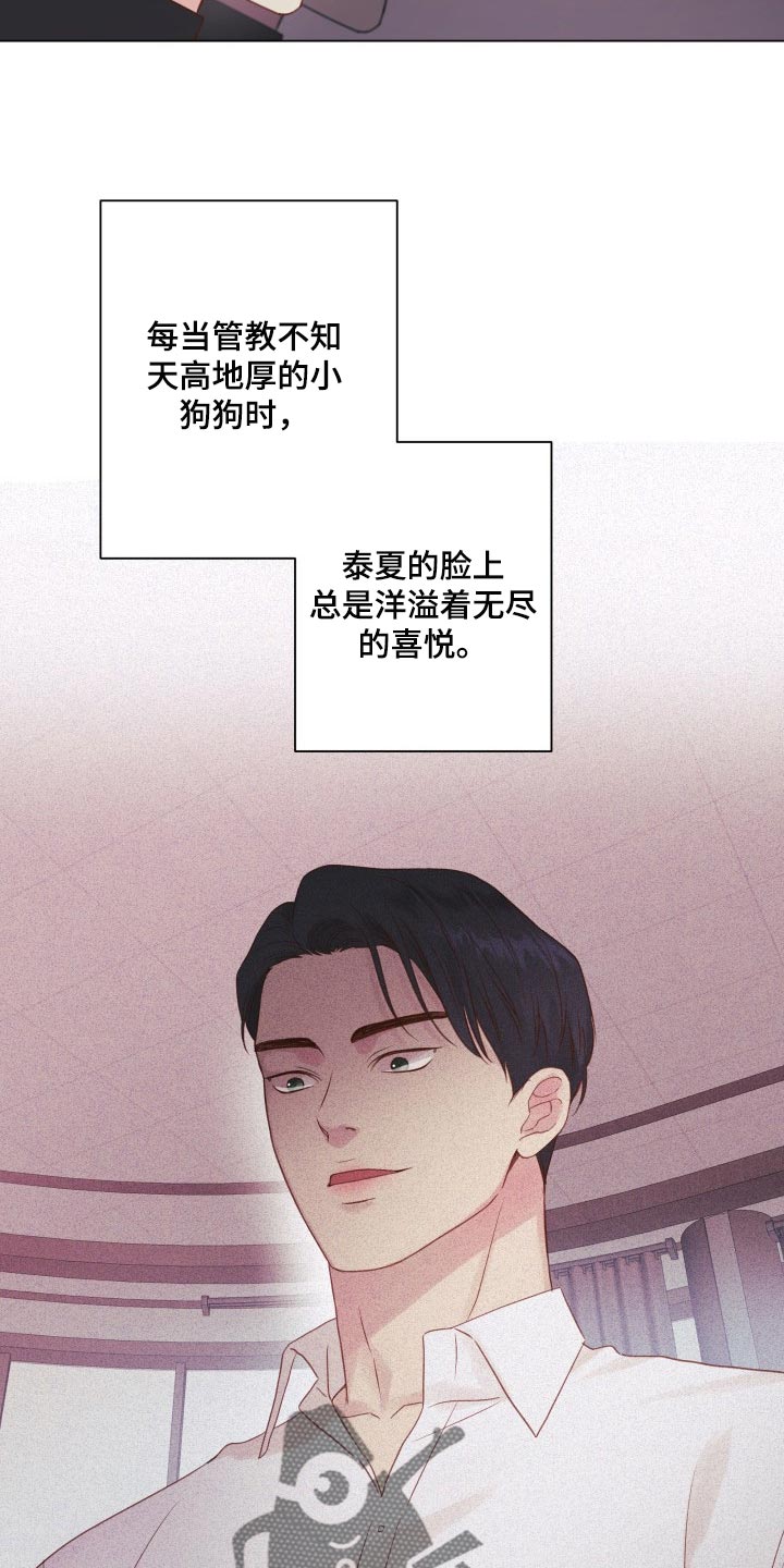 掌中玫瑰怎么折漫画,第20话1图